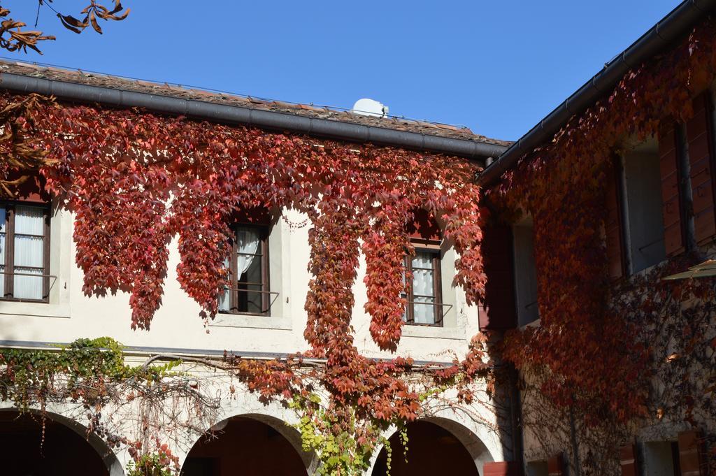 I Giardini Segreti Di Villa Marcello Marinelli 치손디발마리노 외부 사진